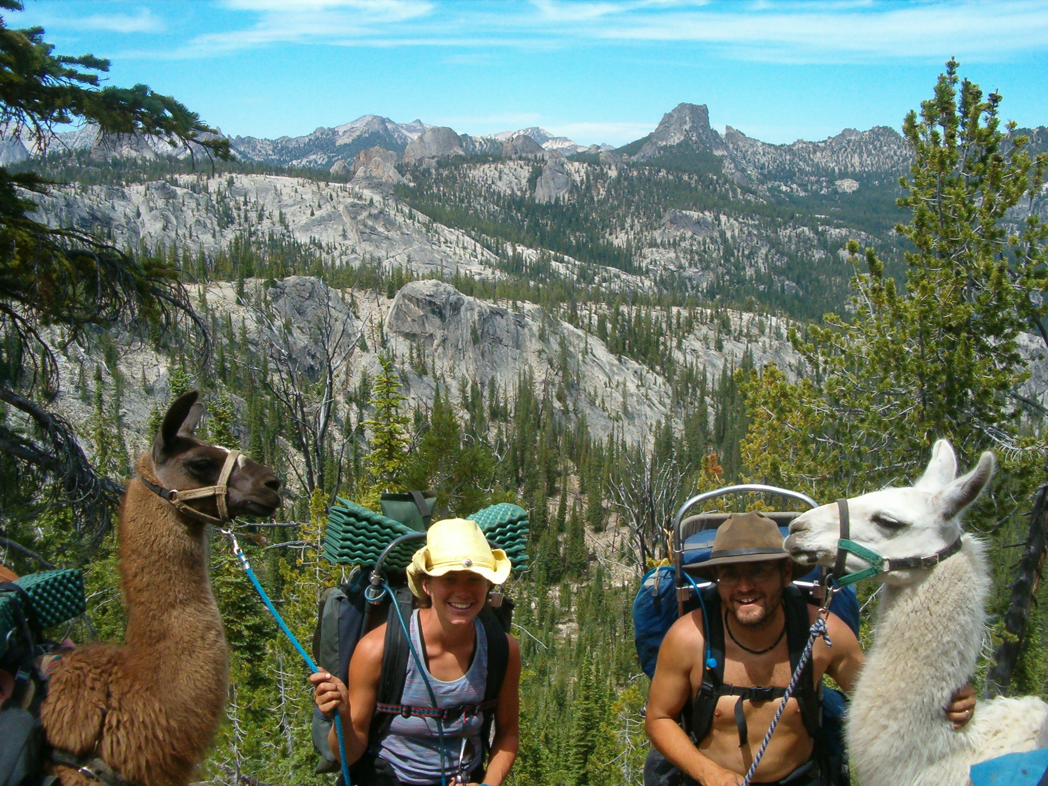 Revisiting an Old Story, Celebrating 20&nbsp;Years